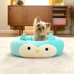 Winston the Owl Pet Bed